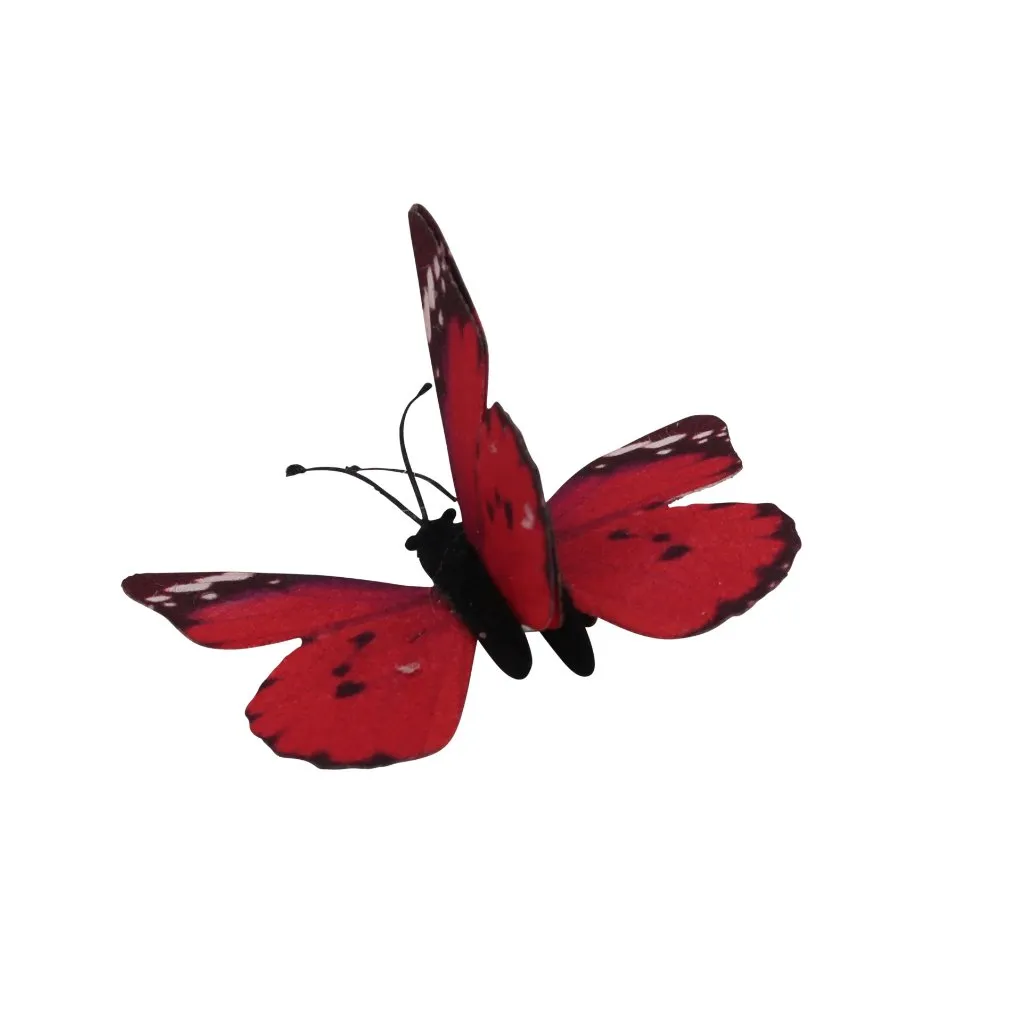 Summer Signatures Small Hairpin